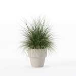 Grass in big flower pot