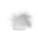Grass in big flower pot