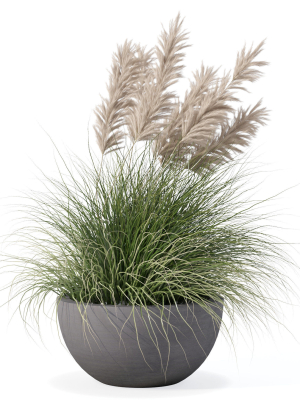 Grass in big flower pot