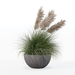 Grass in big flower pot
