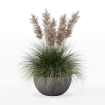 Grass in big flower pot