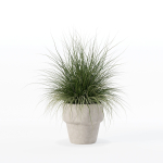 Grass in big flower pot