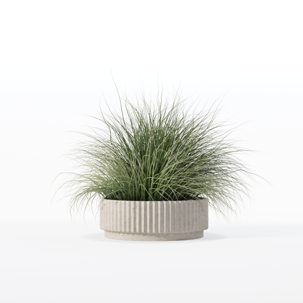 Grass in big flower pot