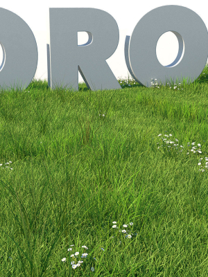 grass-kit-iii-for-c4d-and-corona-render-3d-model-rigged-c4d