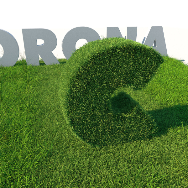 Grass Kit III for C4D and Corona render