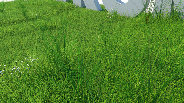 Grass Kit III for C4D and Corona render
