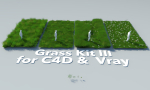 Grass Kit III for C4D and Vray 3