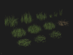 Grass Patches Green Meadow