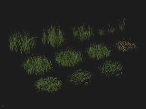 Grass Patches Green Meadow