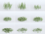 Grass Patches Green Meadow
