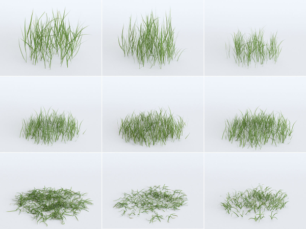 Grass Patches Green Meadow