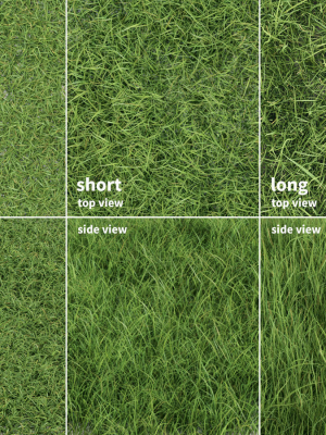 Grass Patches Green Meadow