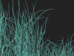 Grass Patches Green Meadow