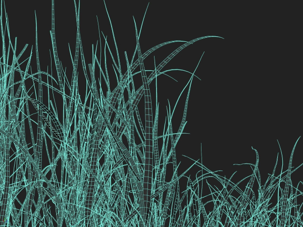 Grass Patches Green Meadow