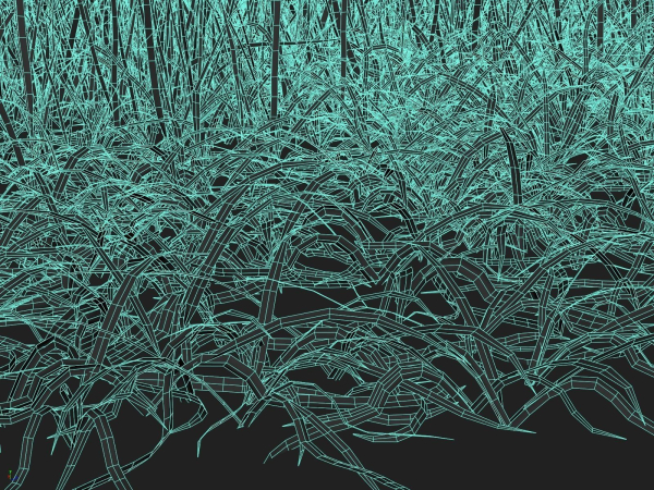 Grass Patches Green Meadow