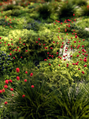 grass-set-1-3d-model-max-obj-fbx