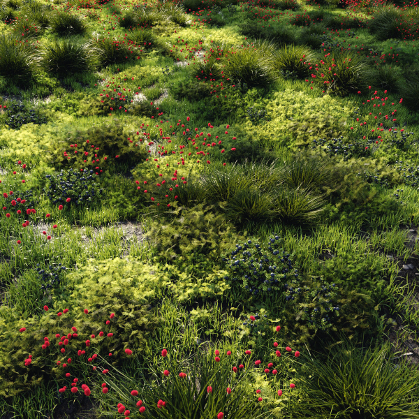 Grass set 1 grassy field with flowers