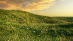 Grass set in circle