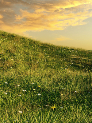 grass-set-3d-model-obj-fbx-blend-fbm