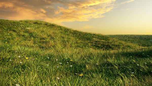 Grass set in circle