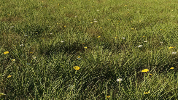 Grass set in circle