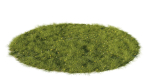 Grass set in circle