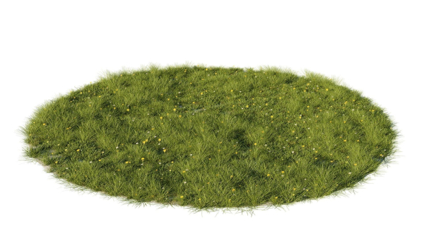 Grass set in circle