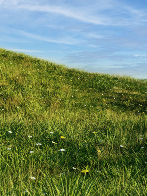 Grass set in circle