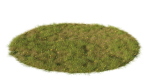 Grass set in circle