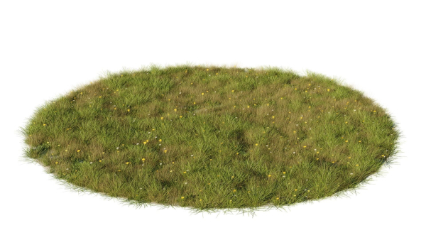 Grass set in circle
