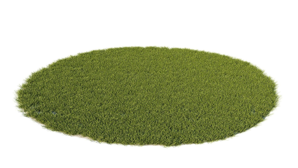 Grass set in circle