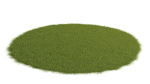 Grass set in circle