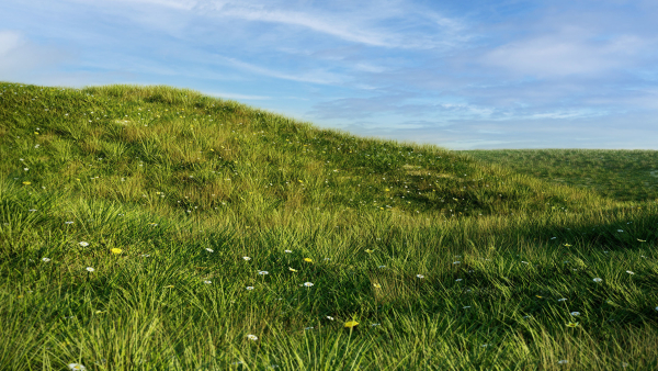 Grass set in circle