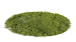 Grass set in circle