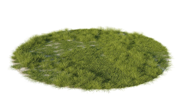 Grass set in circle