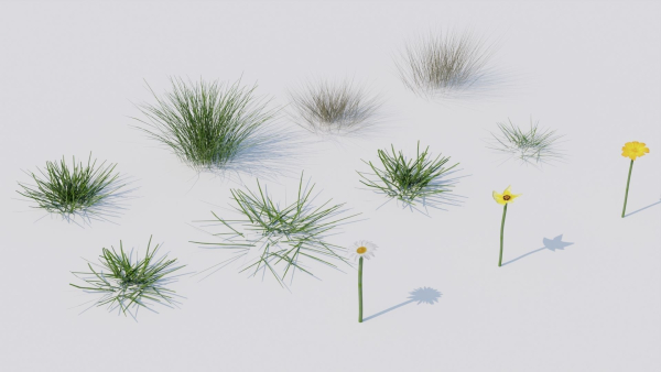 Grass set in circle