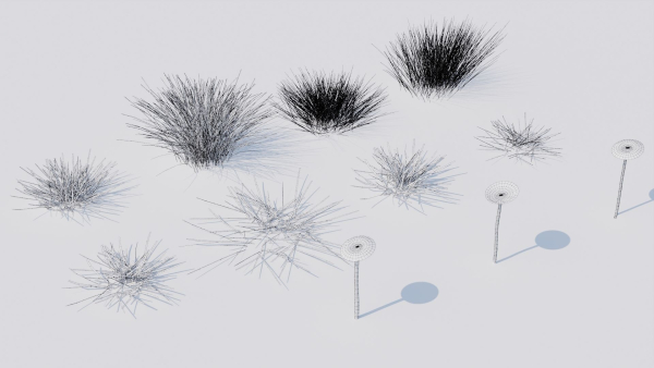 Grass set in circle