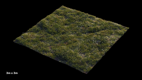 Grass setup - Chaos scatter for Cinema 4D and Corona