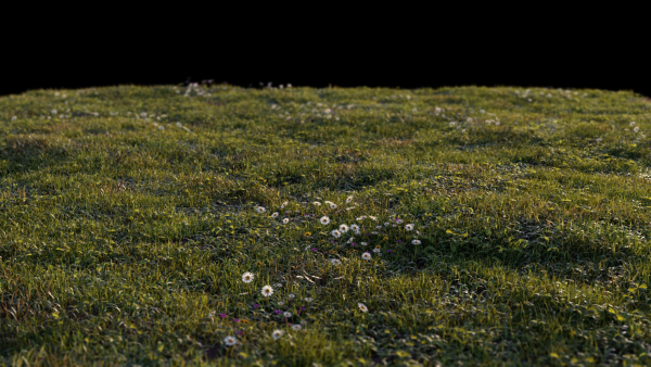 Grass setup - Chaos scatter for Cinema 4D and Corona