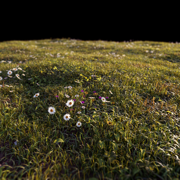 Grass setup - Chaos scatter for Cinema 4D and Corona