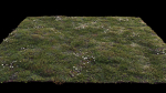 Grass setup - Chaos scatter for Cinema 4D and Corona