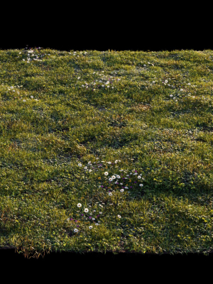 Grass setup - Chaos scatter for Cinema 4D and Corona