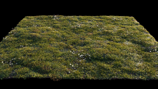 Grass setup - Chaos scatter for Cinema 4D and Corona