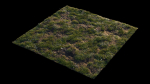 Grass setup - Chaos scatter for Cinema 4D and Corona