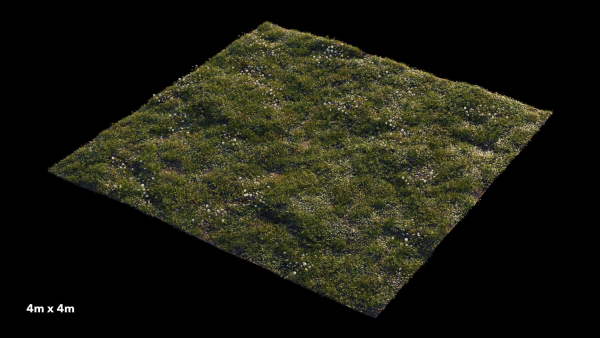 Grass setup - Chaos scatter for Cinema 4D and Corona