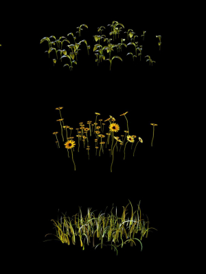 grass-setup-chaos-scatter-for-cinema-4d-and-corona-3d-model-80934cda34