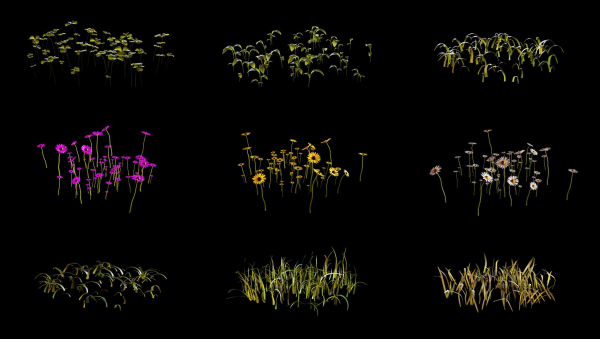 Grass setup - Chaos scatter for Cinema 4D and Corona