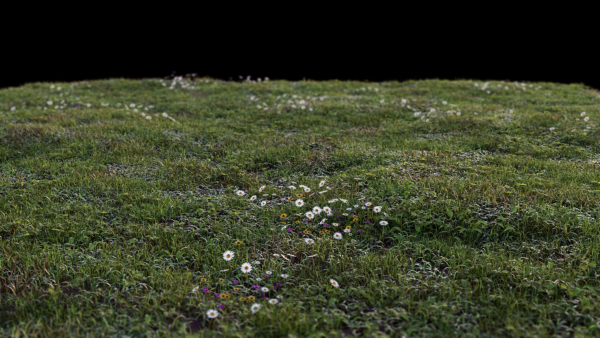Grass setup - Chaos scatter for Cinema 4D and Corona