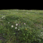Grass setup - Chaos scatter for Cinema 4D and Corona