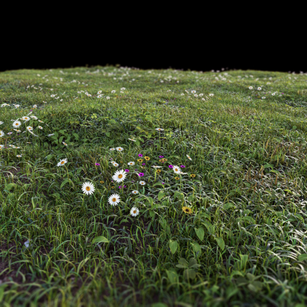 Grass setup - Chaos scatter for Cinema 4D and Corona